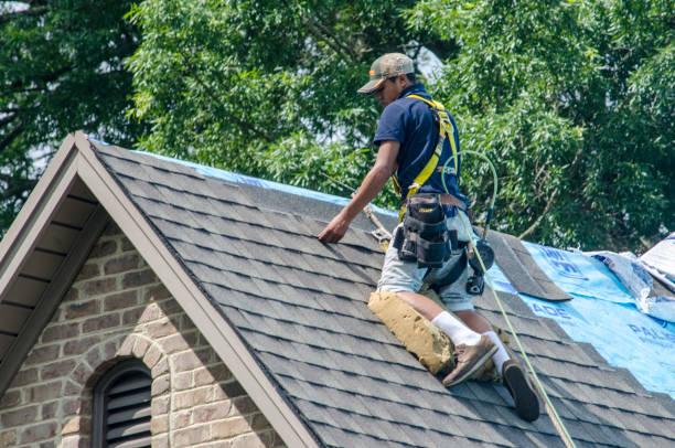 Roof Gutter Cleaning in Lake Marcel Stillwater, WA